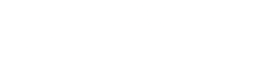 The Times and The Sunday Times Logo